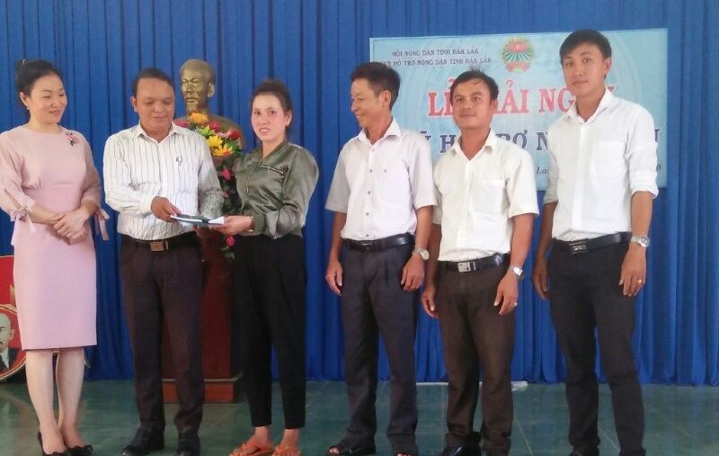 Giải ngân vốn hỗ trợ dự án trồng sả cho nông dân