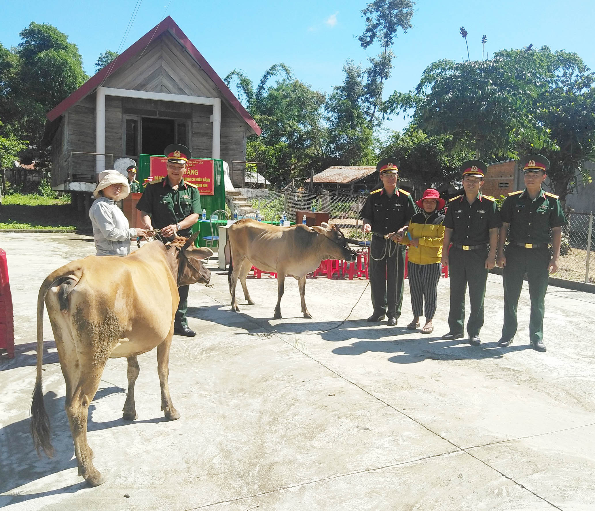 Tặng bò giống cho các gia đình khó khăn ở huyện Krông Bông