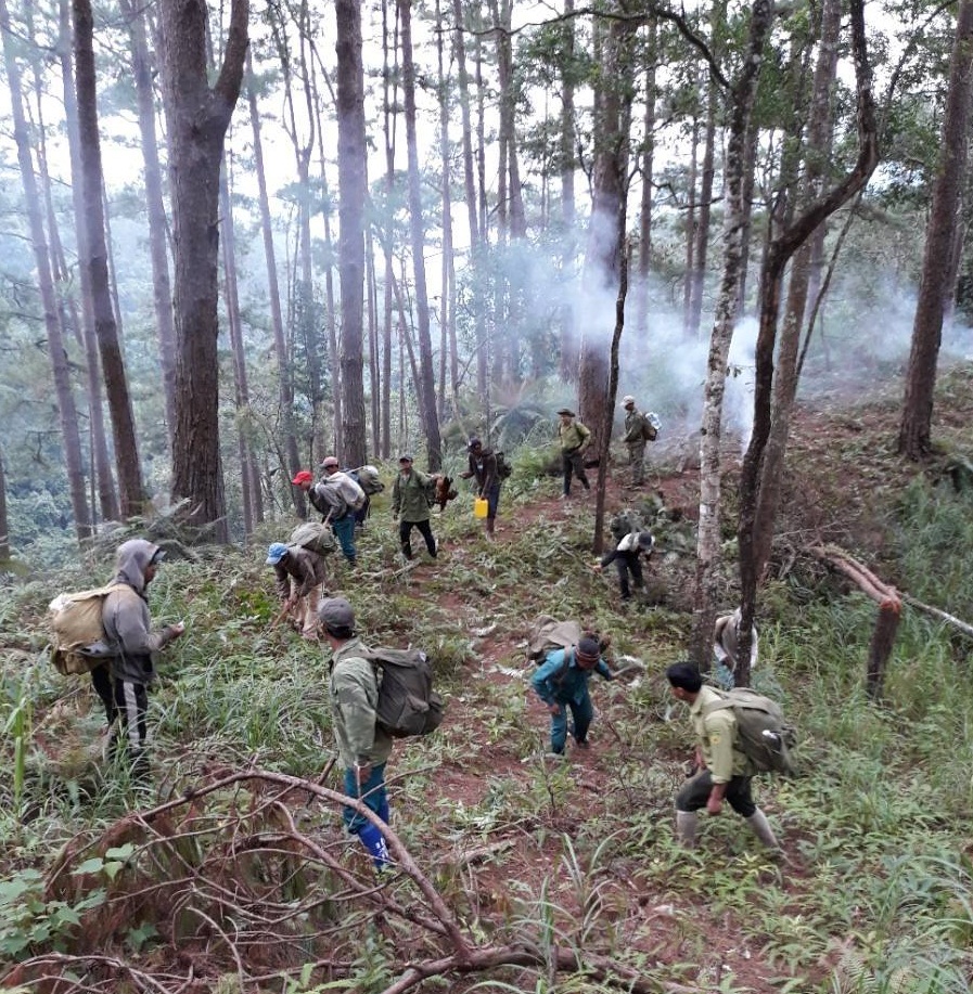 Giải thể 6 Công ty lâm nghiệp tại Tây Nguyên