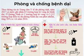 Triển khai các biện pháp cấp bách phòng chống bệnh dại
