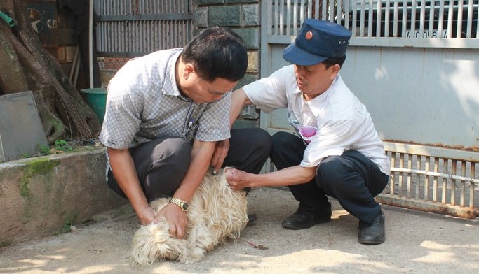 Khuyến cáo người dân không chủ quan với bệnh dại