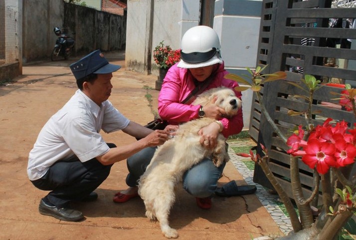 Thêm một trường hợp tử vong do bệnh dại