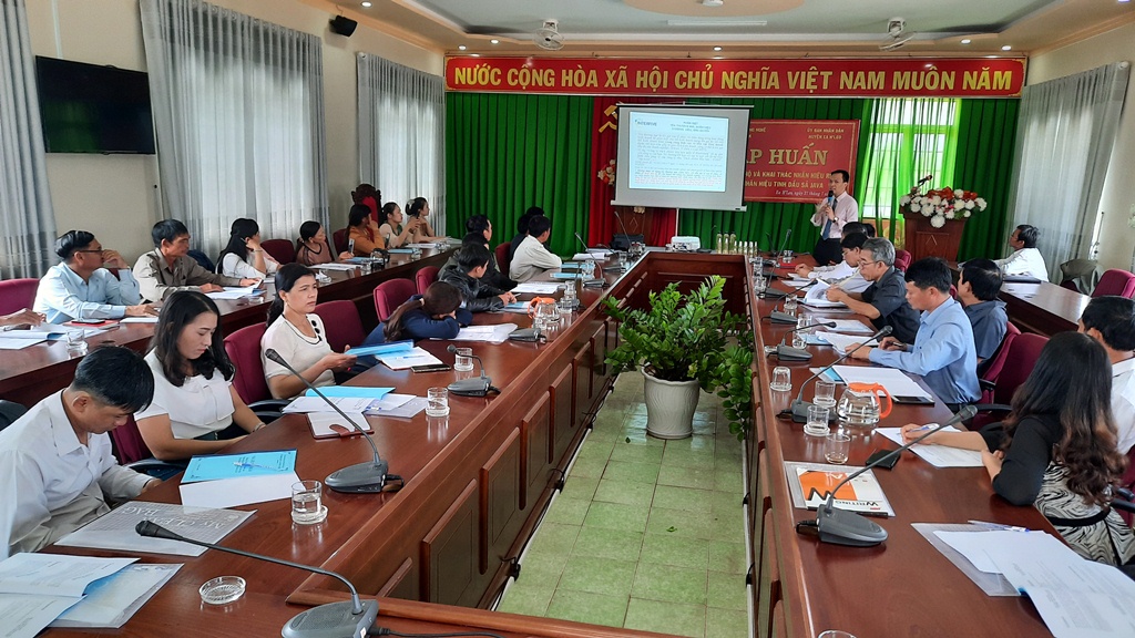 Tập huấn đăng ký bảo hộ và khai thác nhãn hiệu tập thể tinh dầu sả