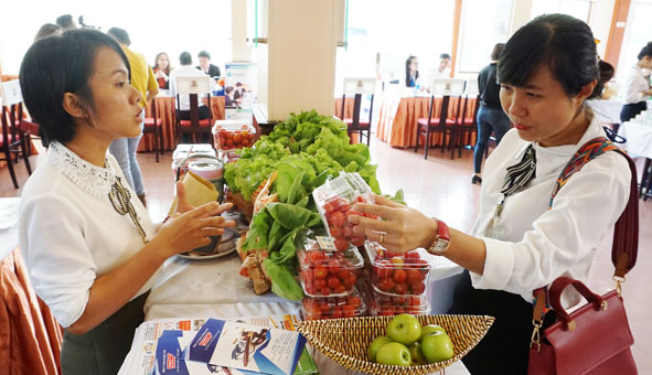 UBND tỉnh Đắk Lắk đề nghị Sở, ngành triển khai công tác hỗ trợ pháp lý cho doanh nghiệp nhỏ và vừa