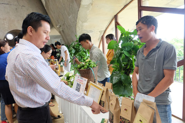 Cuộc thi Khởi nghiệp, khởi sự kinh doanh năm 2020 tỉnh Đắk Lắk: Kỳ vọng sức lan tỏa và hiệu quả