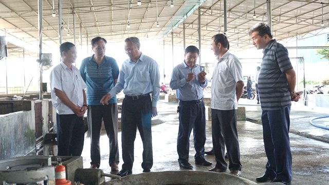 Triển vọng từ các dự án chăn nuôi mới ở các tỉnh Tây Nguyên