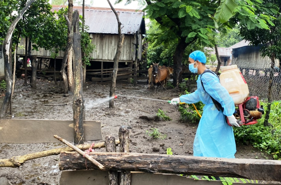 Huyện Buôn Đôn: Khẩn trương dập ổ dịch lở mồm long móng trâu bò