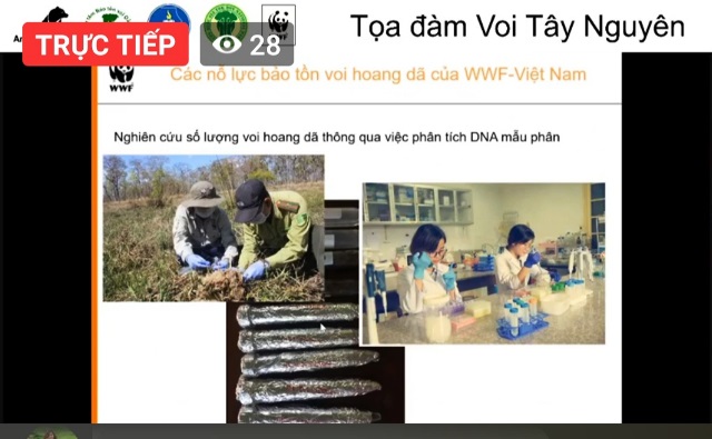 Animals Asia organizes an online workshop on the Central Highlands elephants