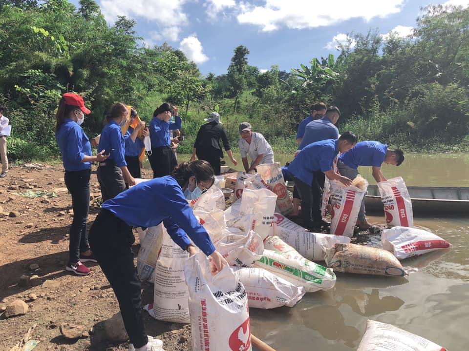 Thả bổ sung hơn 9.000 con cá giống truyền thống vào hồ thủy điện Srêpôk 4