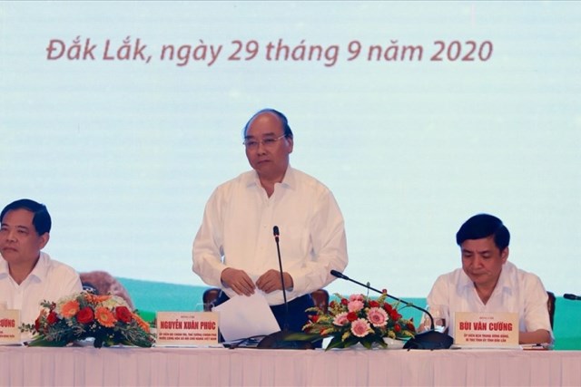 Thủ tướng Chính phủ định hướng phát triển cây mắc ca trở thành “Cây quốc kế dân sinh”