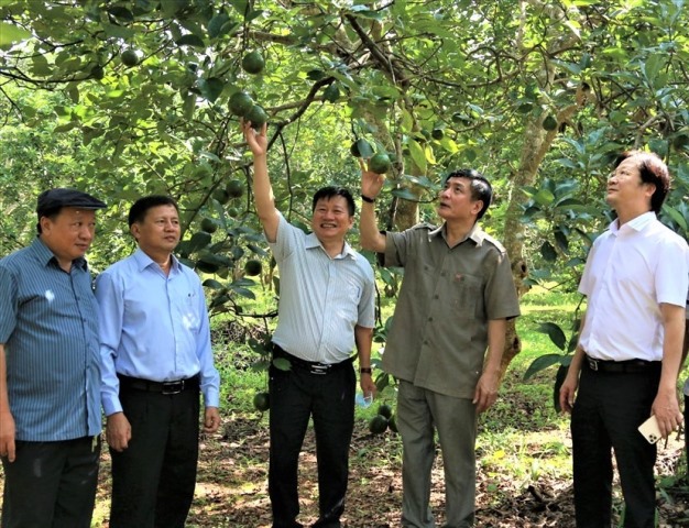 Krong Pac Trade Fair for Fruits in 2020
