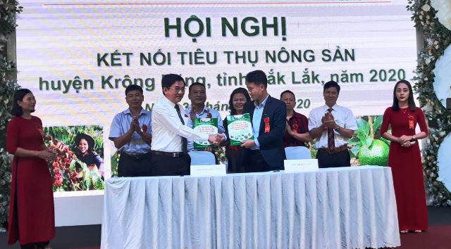 Huyện Krông Năng kết nối tiêu thụ nông sản năm 2020
