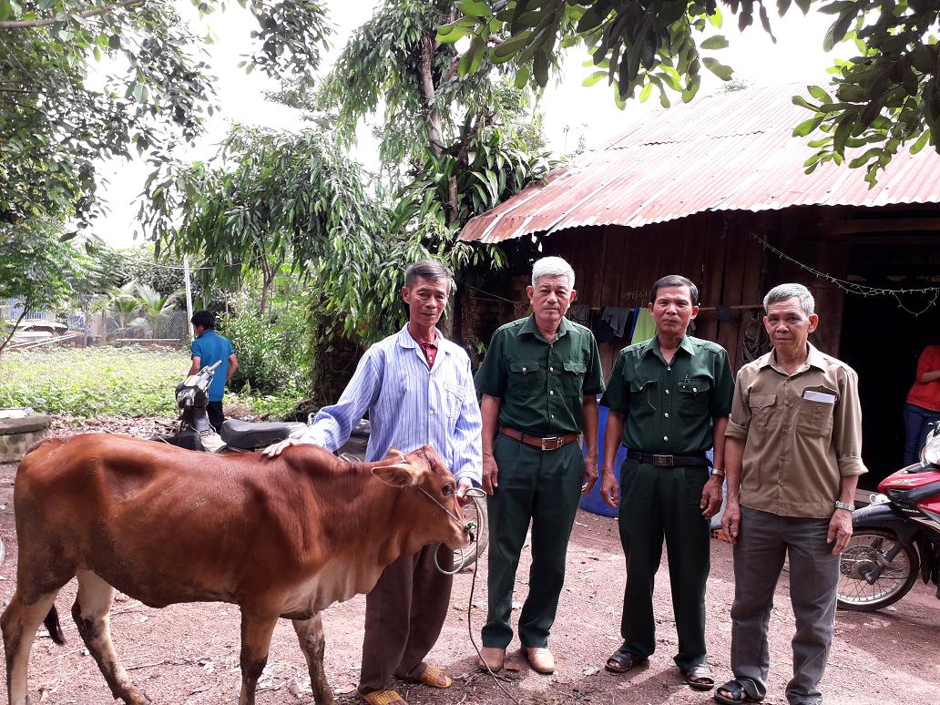 Hội Cựu Chiến binh huyện Buôn Đôn tặng bò cho hội viên nghèo