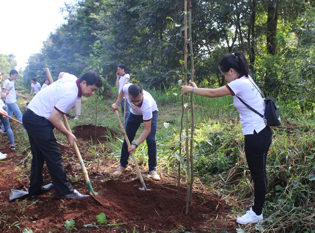 Agribank Đắk Lắk phấn đấu trồng 1.000 cây xanh trong năm 2020