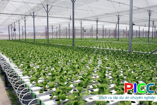 Quyết định về việc cho Công ty TNHH Xuân Thiện Đắk Lắk thuê 1.076.070,9m2 đất tại xã Ea Kpam, huyện Cư M’gar để sử dụng vào mục đích thực hiện dự án Khu nông nghiệp ứng dụng công nghệ cao Xuân Thiện Cư M’gar