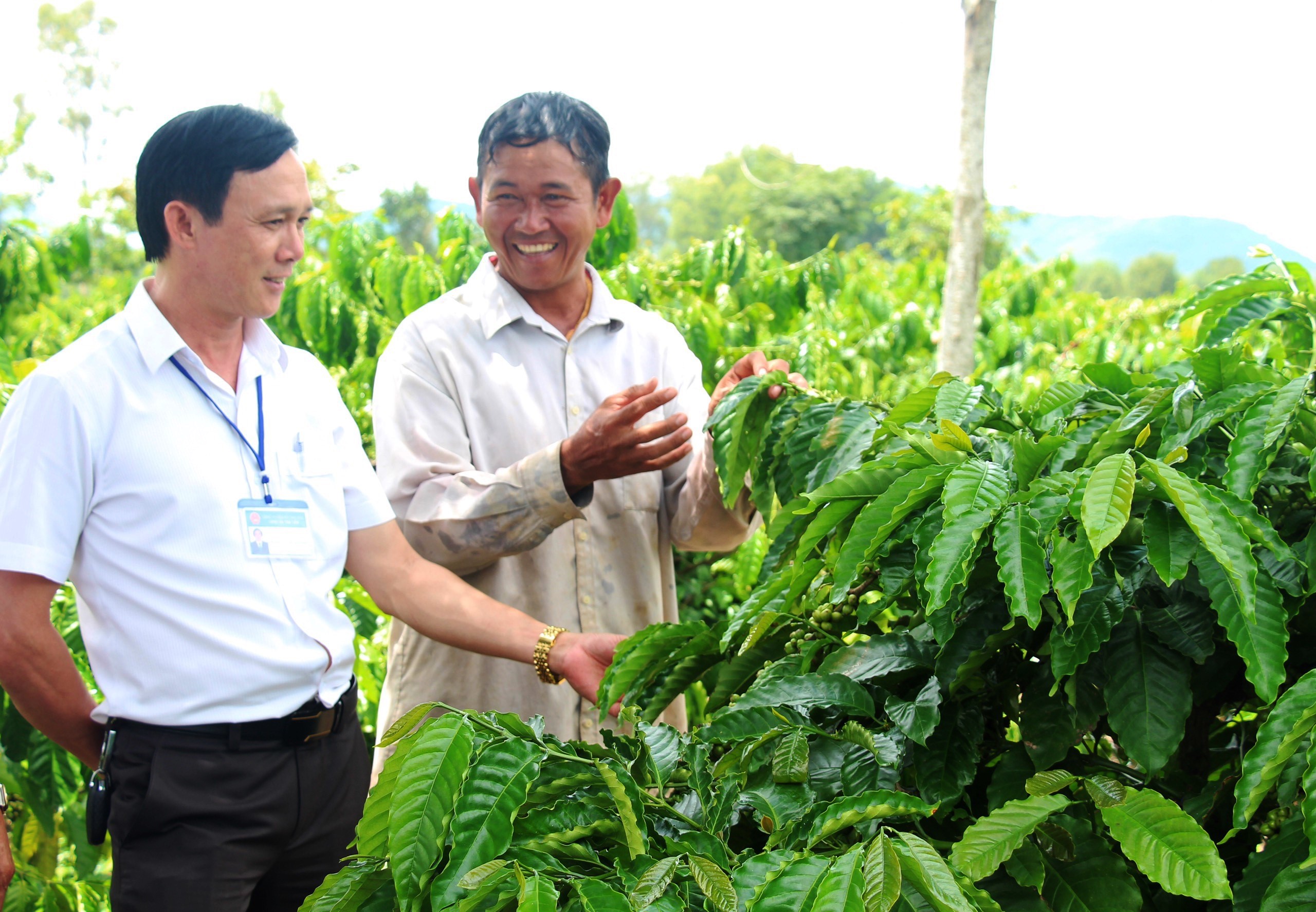 Làm giàu từ kinh doanh dịch vụ nông nghiệp