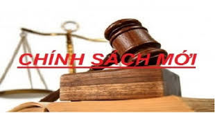 Những chính sách mới sẽ có hiệu lực từ tháng 12-2020.