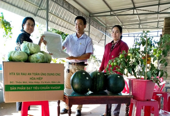 Tìm đầu ra cho sản phẩm rau an toàn