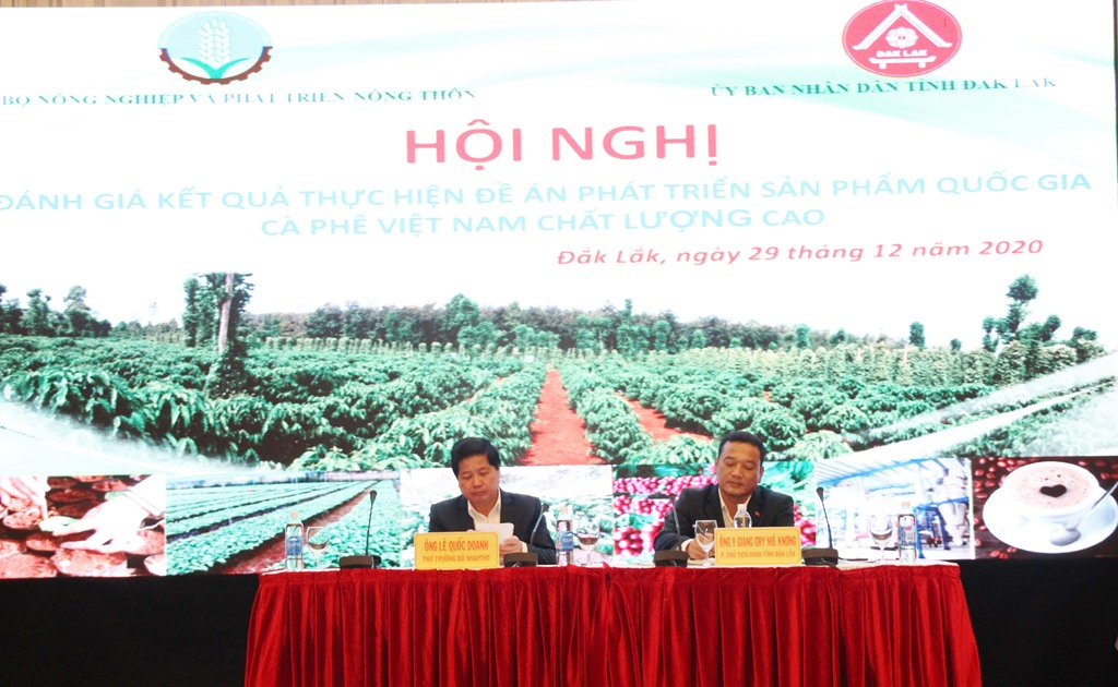 Conference on reviewing National high-quality coffee development