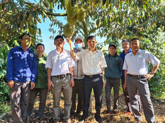 Khi đảng viên gương mẫu, đi đầu