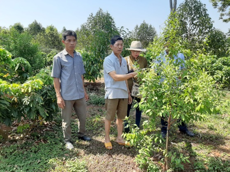 Hiệu quả kinh tế cao từ việc mạnh dạn chuyển đổi cây trồng
