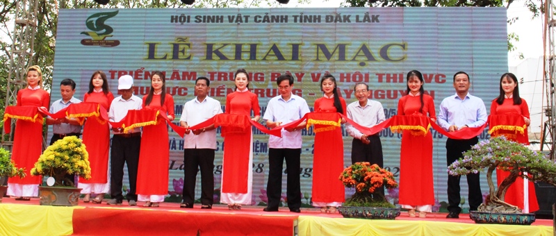 Khai mạc triển lãm, trưng bày và hội thi sinh vật cảnh khu vực miền Trung – Tây Nguyên