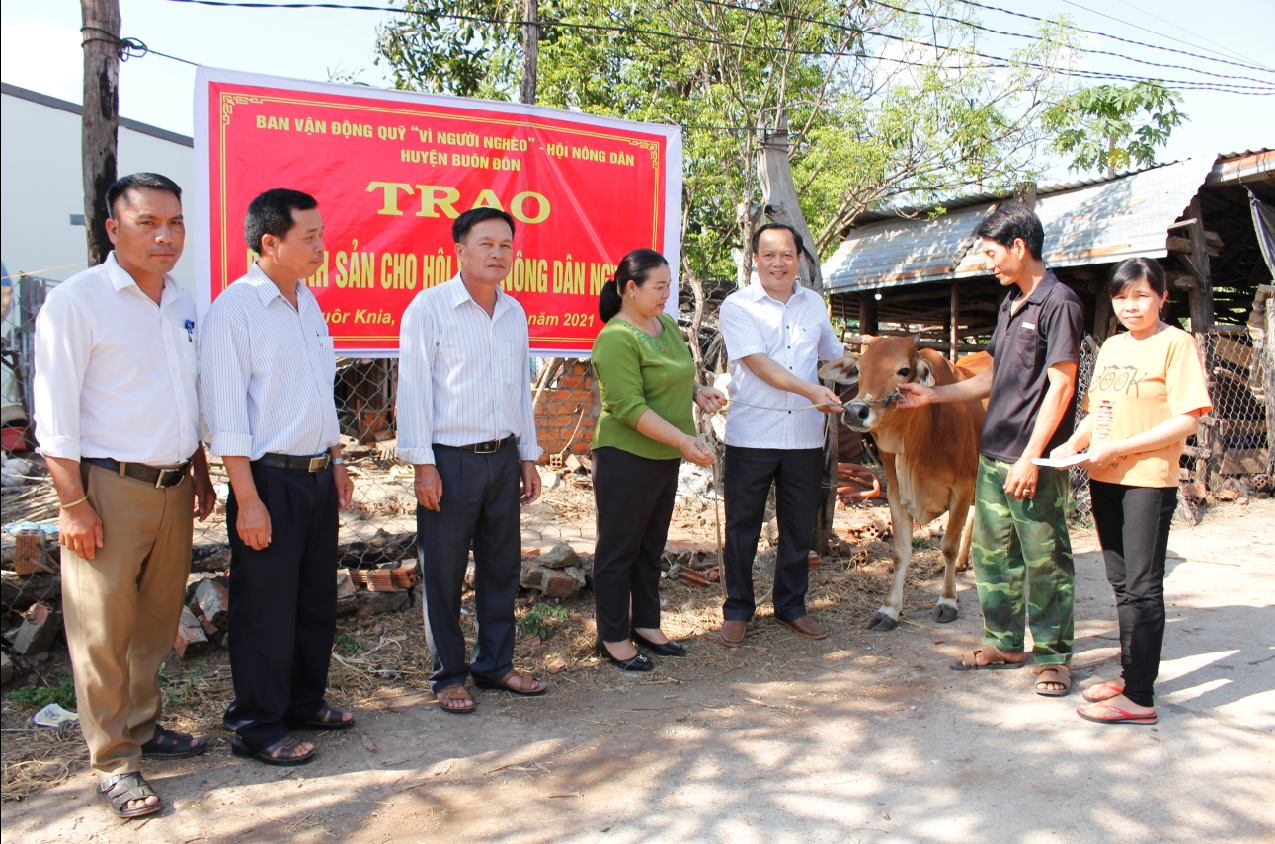 Trao bò sinh sản cho hội viên nông dân nghèo