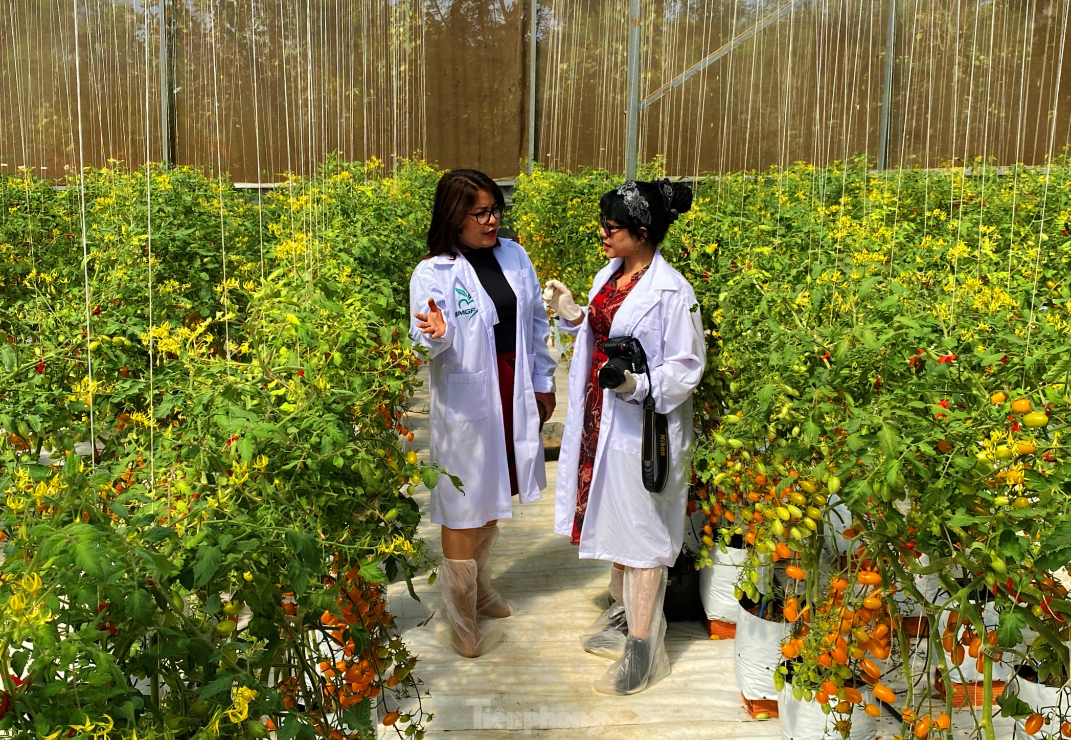 15 dự án lọt vào Vòng chung kết cuộc thi Phụ nữ khởi nghiệp năm 2021