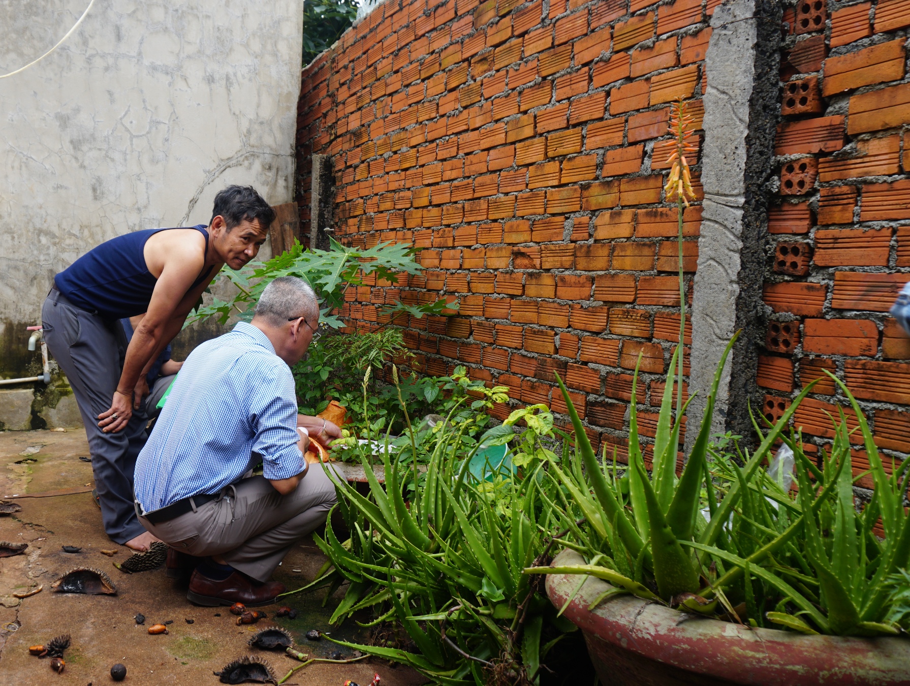 Chủ động phòng chống bệnh sốt xuất huyết đầu mùa mưa