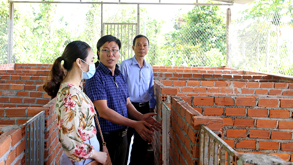 Hội Nông dân tỉnh hỗ trợ triển khai mô hình chăn nuôi trên nền tảng số