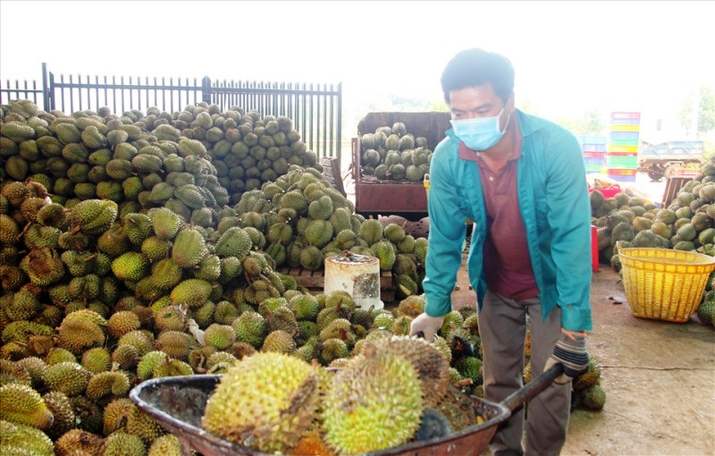 Sở Công Thương tham gia Tọa đàm trực tuyến “Giải quyết nút thắt lưu thông hàng hóa nông sản mùa dịch Covid-19”