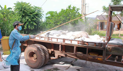 Bộ NN-PTNT cấp 6.000 lít hóa chất cho tỉnh Đắk Lắk chống dịch trên động vật
