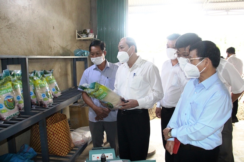 Đoàn công tác của Ban Thường vụ Tỉnh ủy làm việc tại huyện Krông Ana
