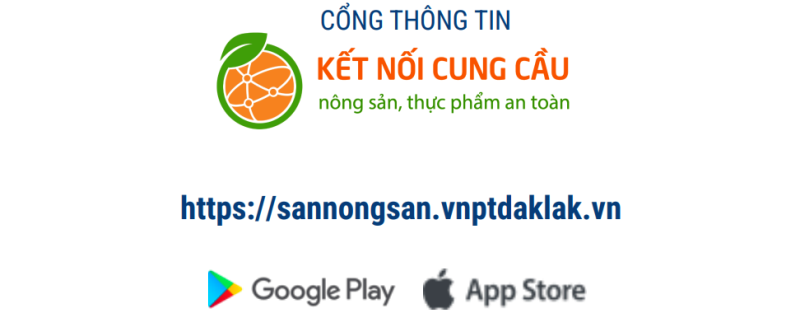 Introducing an online agricultural product marketplace at the webinar “Digital transformation for small and medium enterprises”