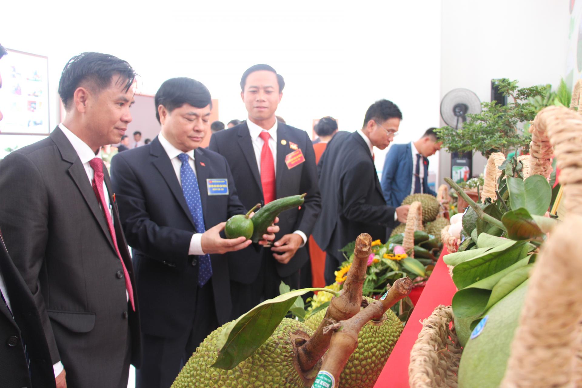 Hiệu quả  từ mô hình kinh tế tập thể ở Cư Kuin