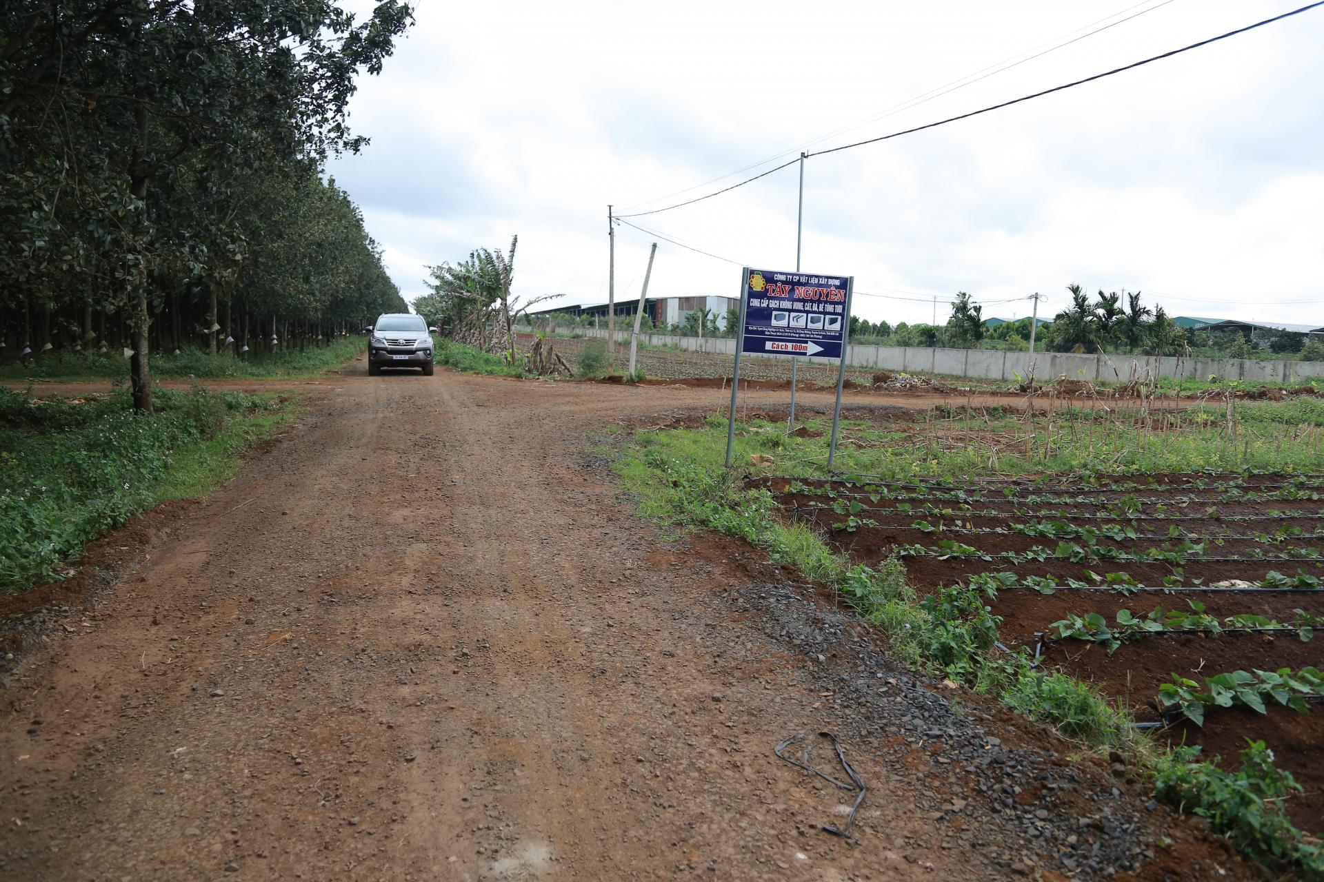 Cụm công nghiệp Cư Kuin: Cần thêm nguồn lực đầu tư phát triển hạ tầng kỹ thuật