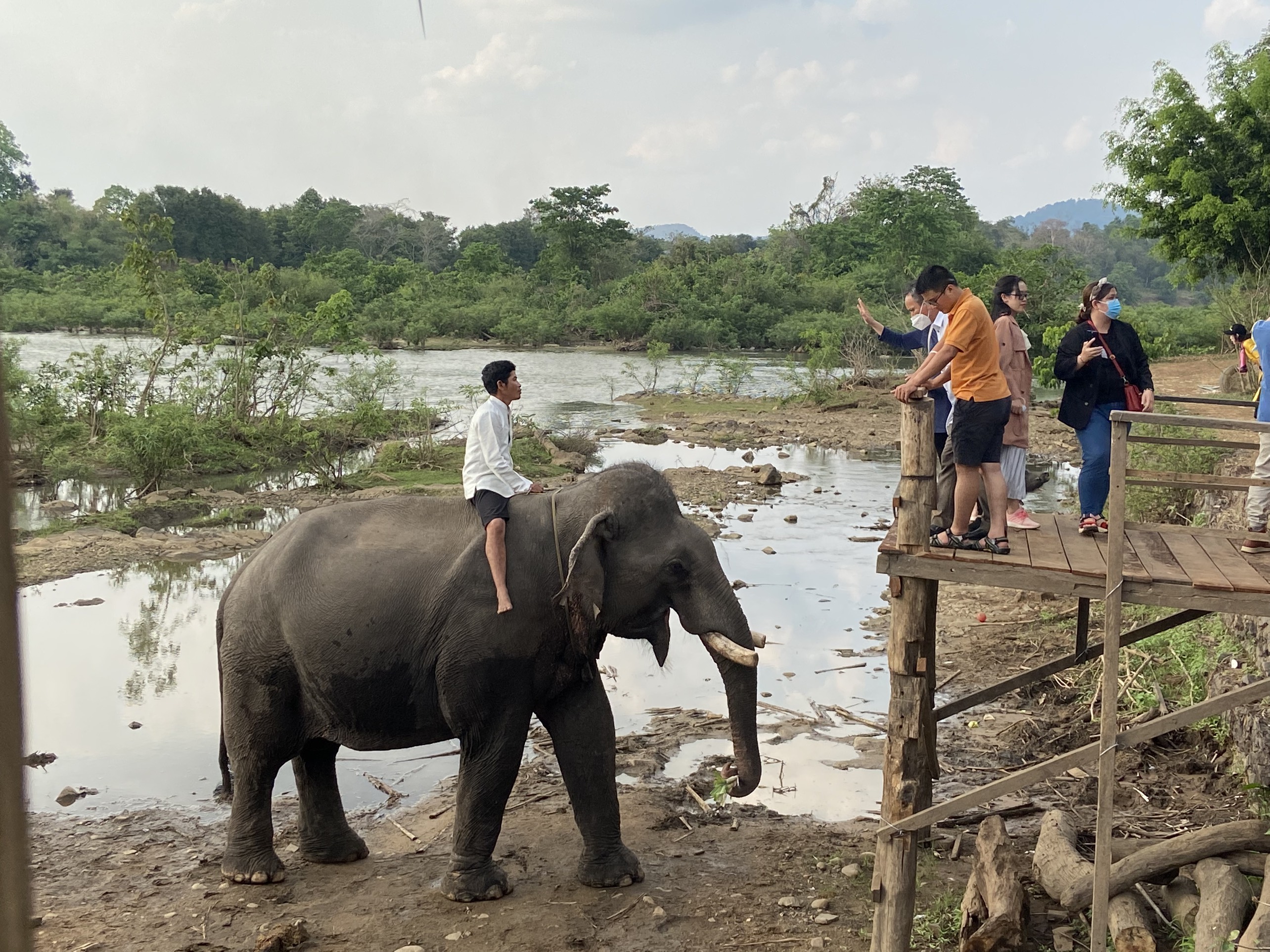Đắk Lắk xây dựng hoàn thiện mô hình sản phẩm “Du lịch thân thiện với Voi” trong năm 2022