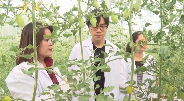 Thành lập Ban Chỉ đạo tổ chức Hội nghị xúc tiến đầu tư lĩnh vực nông nghiệp tỉnh Đắk Lắk năm 2022