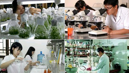 Chương trình an toàn, vệ sinh lao động giai đoạn 2021-2025 trên địa bàn tỉnh Đắk Lắk