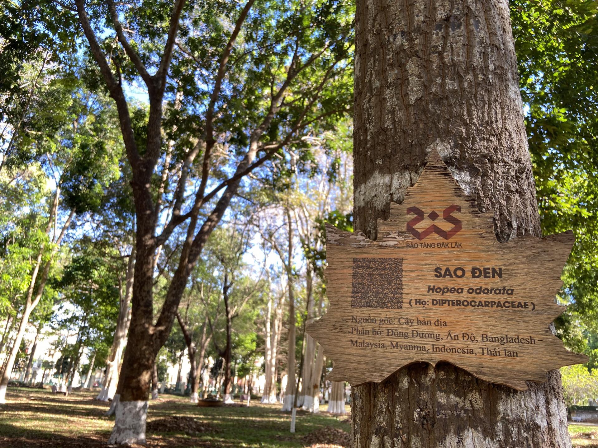 Tập trung chuyển đổi số lĩnh vực thư viện, du lịch thông minh trong năm 2022