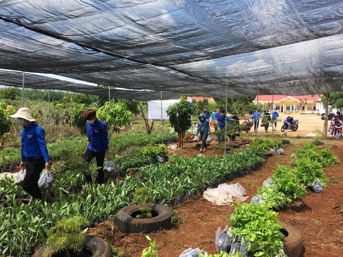 Huyện đoàn Ea H’leo ra mắt mô hình “Vườn ươm thanh niên”