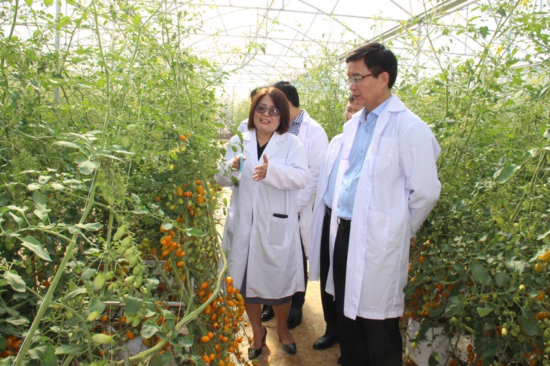 Đắk Lắk chú trọng thu hút đầu tư xây dựng nền nông nghiệp bền vững