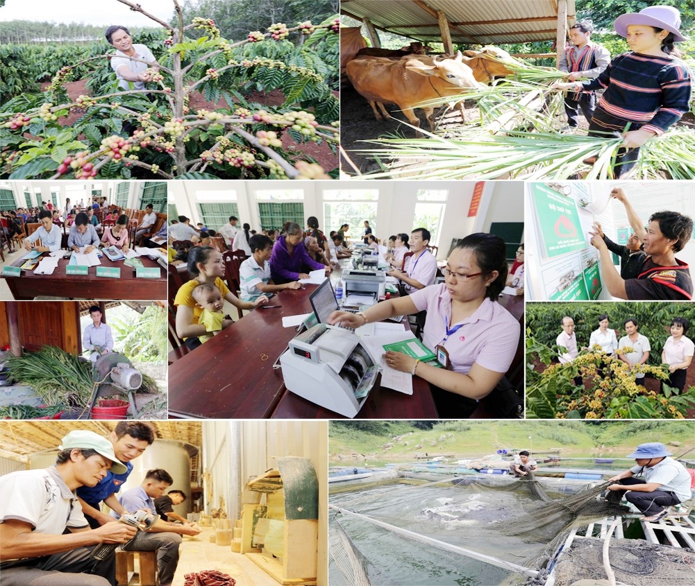 Thực hiện Nghị định số 27/2022/NĐ-CP ngày 19/4/2022 của Chính phủ