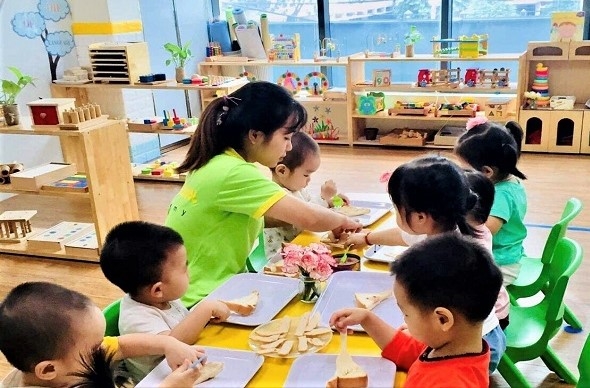 Triển khai Quyết định số 11/2022/QĐ-TTg ngày 27/4/2022 của Thủ tướng Chính phủ