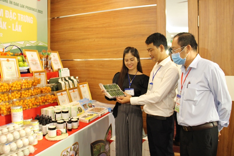 Triển khai cuộc thi 