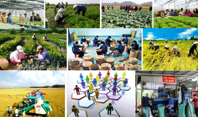 Triển khai Thông tư số 27/2022/TT-BTC ngày 11/5/2022 của Bộ Tài chính