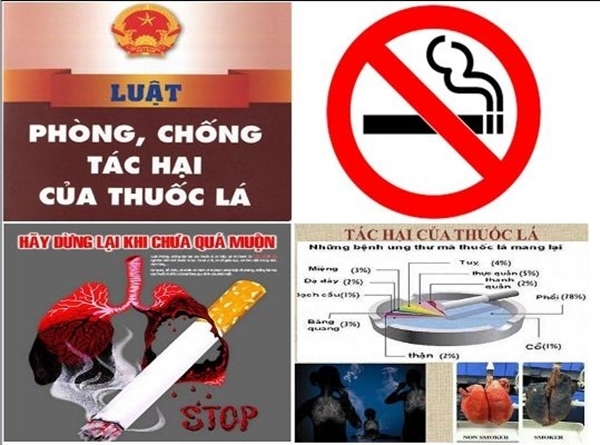 Tăng cường các biện pháp phòng chống tác hại của thuốc lá