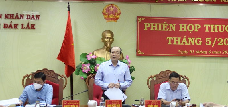 UBND tỉnh triển khai nhiệm vụ tháng 6 năm 2022