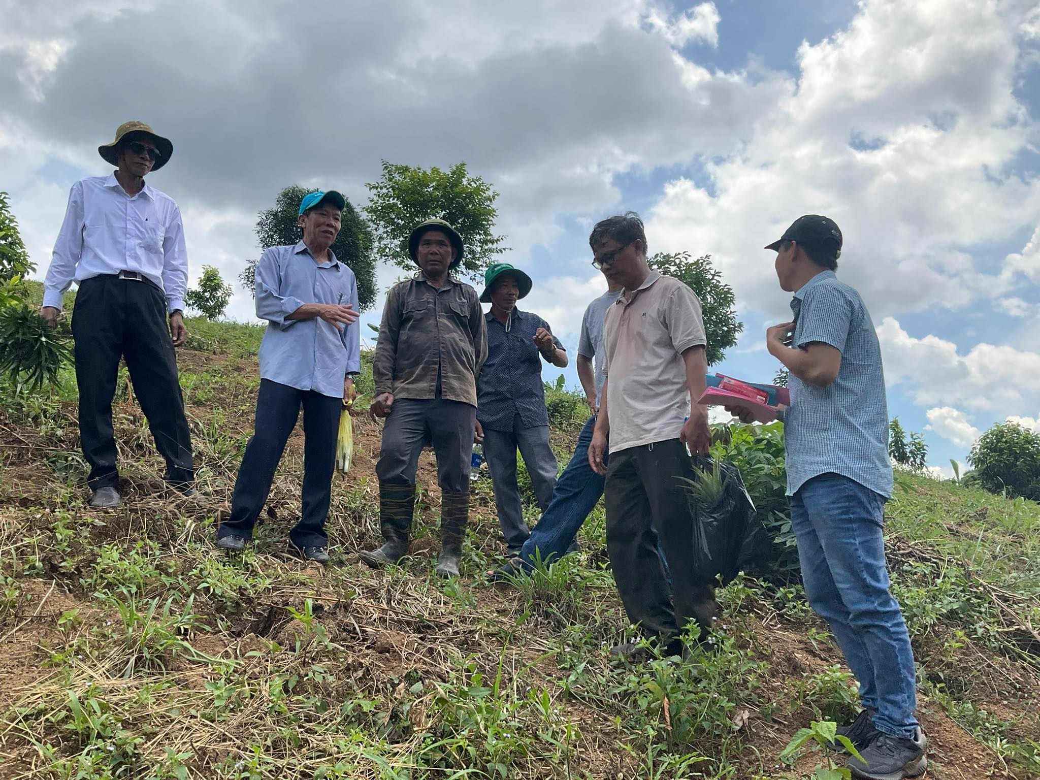 Tropenbos tập huấn kỹ thuật phục hồi rừng ở huyện Lắk và Krông Bông