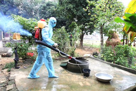 Triển khai Công điện của Bộ Y tế về việc tăng cường công tác phòng, chống bệnh sốt xuất huyết